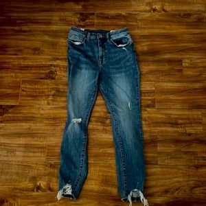 The Cosmic Blue Love Arianna High Rise Distressed Skinny Jean